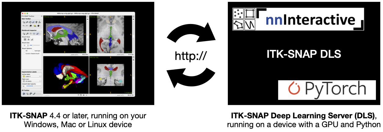 ITK-SNAP DLS diagram